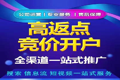 行业案例研究：SEM竞价托管的策略与挑战